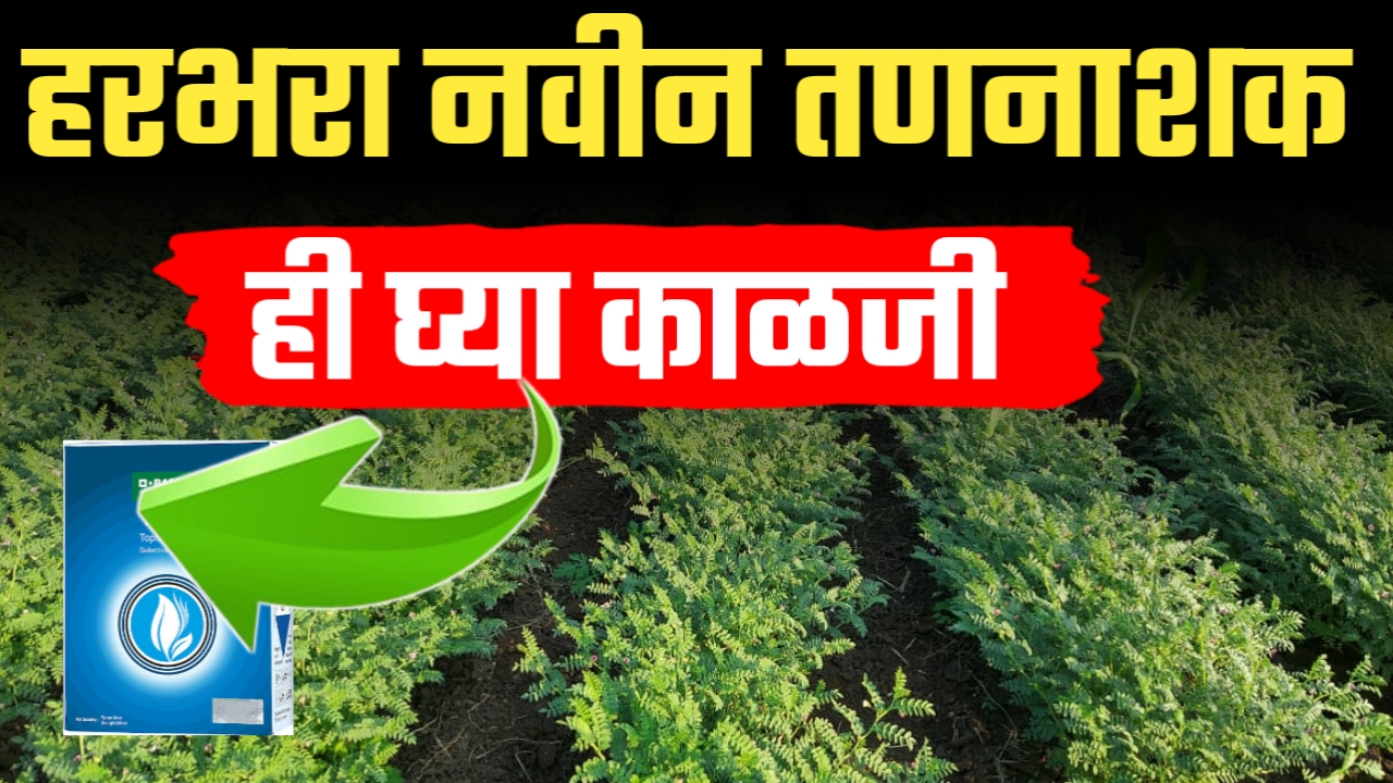 हरबरा नवीन तननाशक