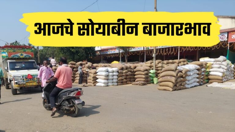 सोयाबीन बाजारात ४५०० चा आधार कायम: जळकोट, देवणीने तारले, पण ‘बिजवाई’च्या दरांनी पुन्हा संभ्रम!