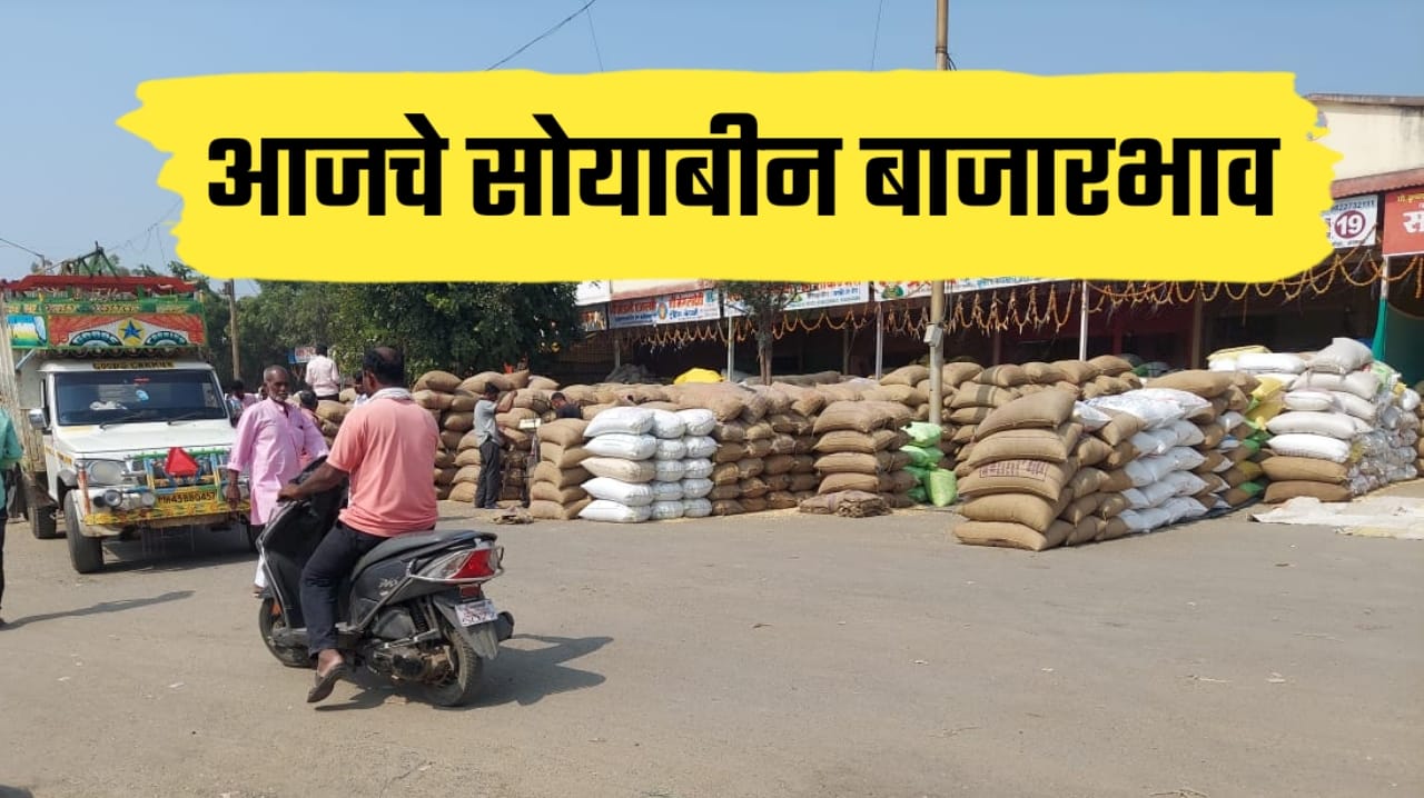 सोयाबीन बाजारात