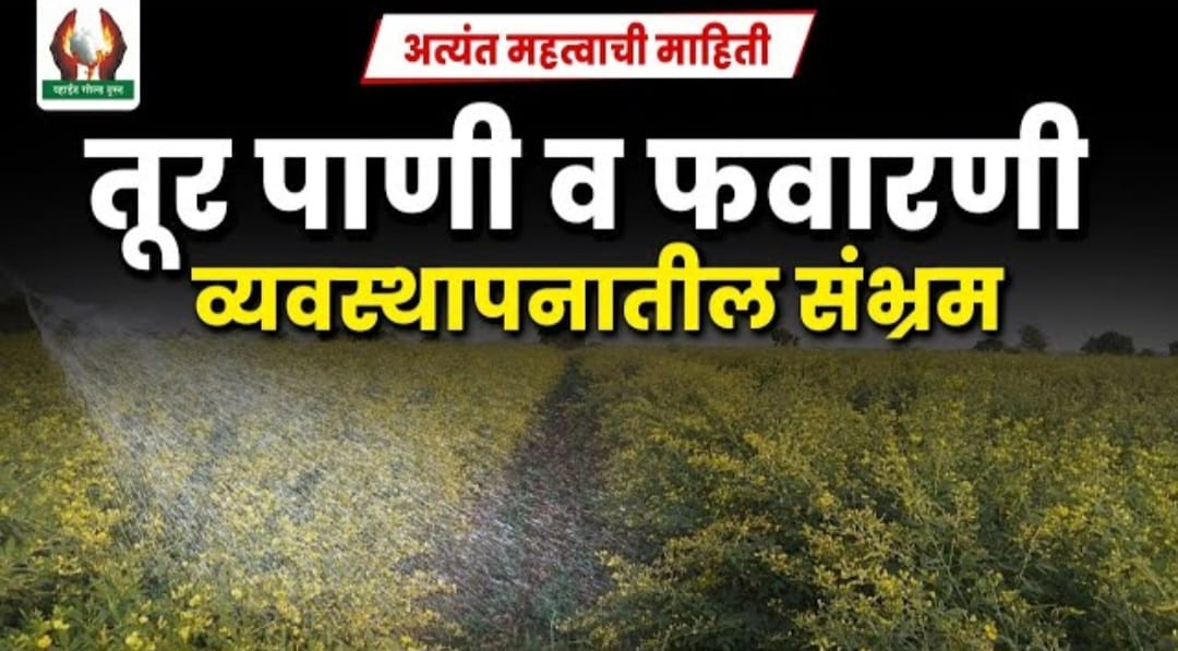 तूर फवारणी व्यवस्थापन