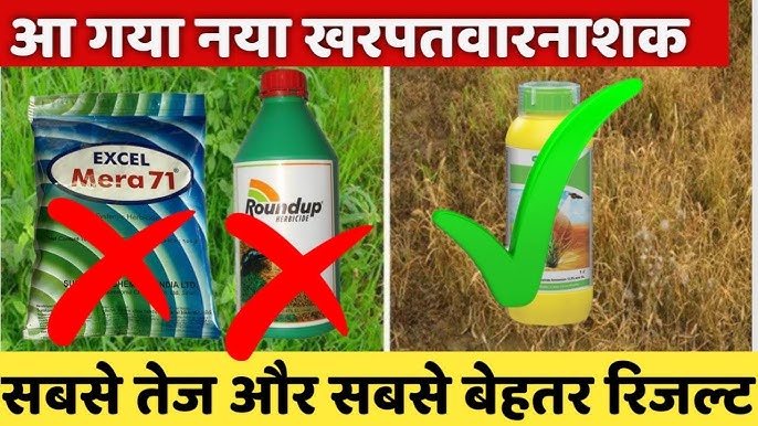 यह हर्बिसाइड एक