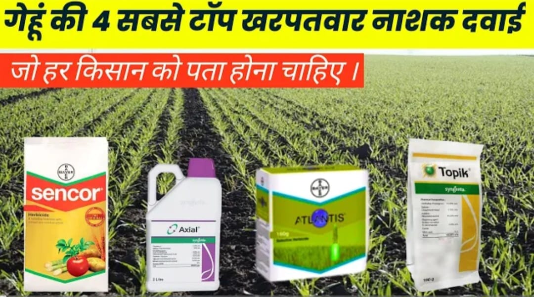 New Bayer herbicide