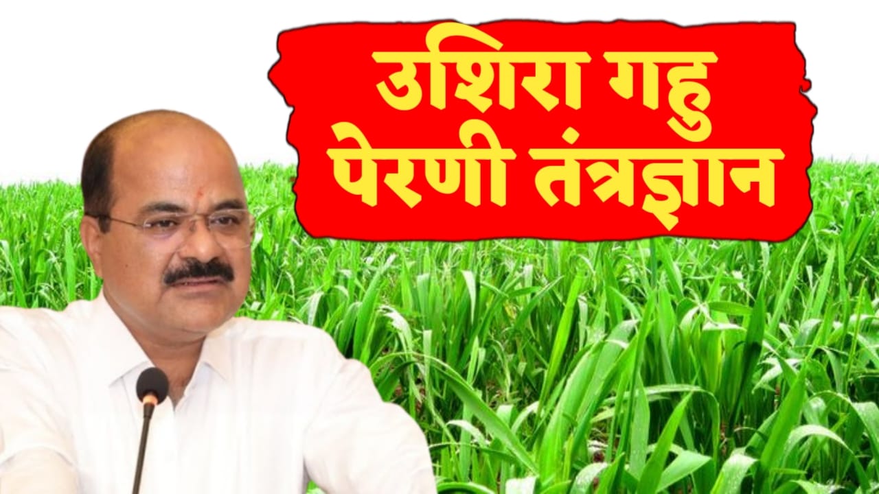 गजानन जाधव यांचे