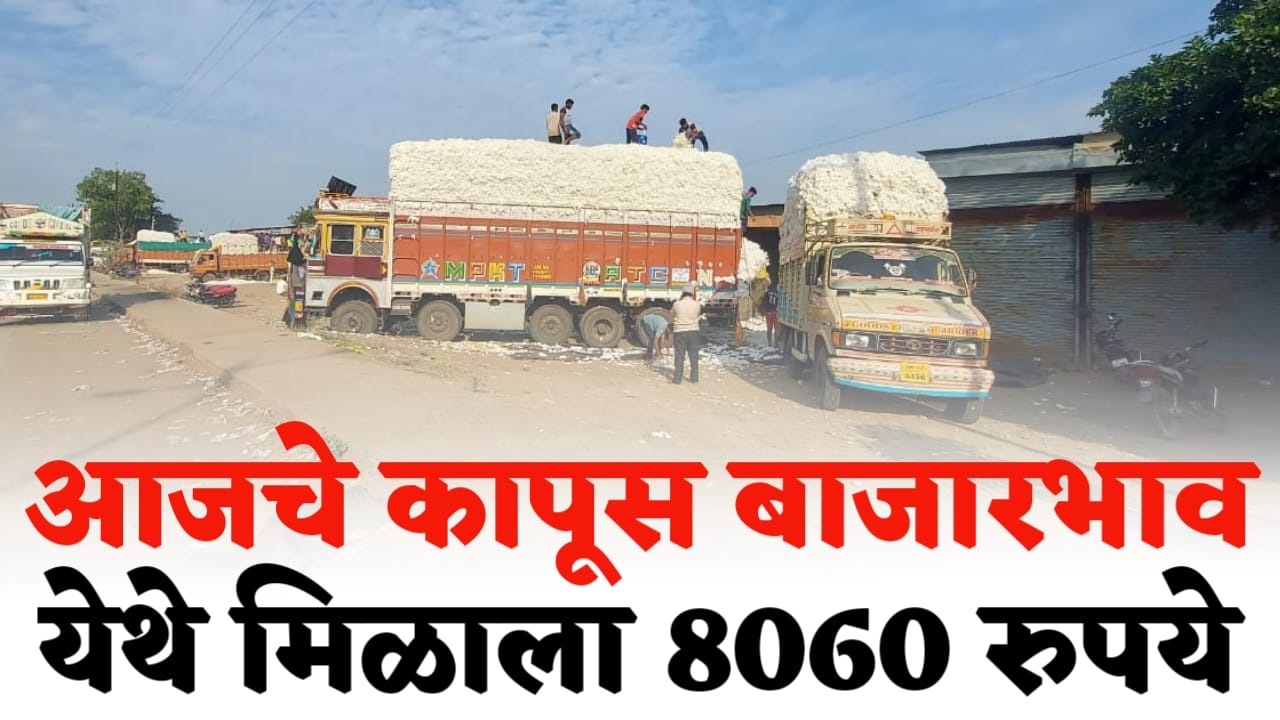 कापूस दरात अखेर