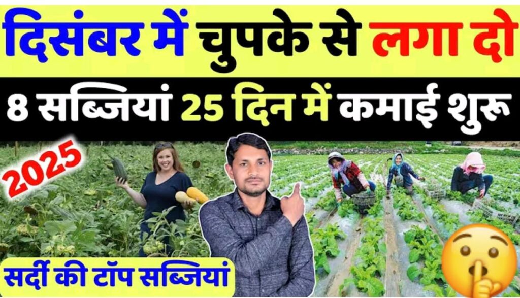 दिसंबर मे लगायें