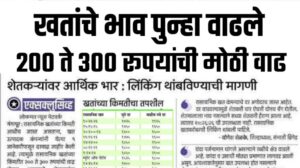 रासायनिक खतांच्या दरामध्ये झाली पुन्हा वाढ; कोणत्या खताच्या किंमतीत किती रुपयाने वाढ?