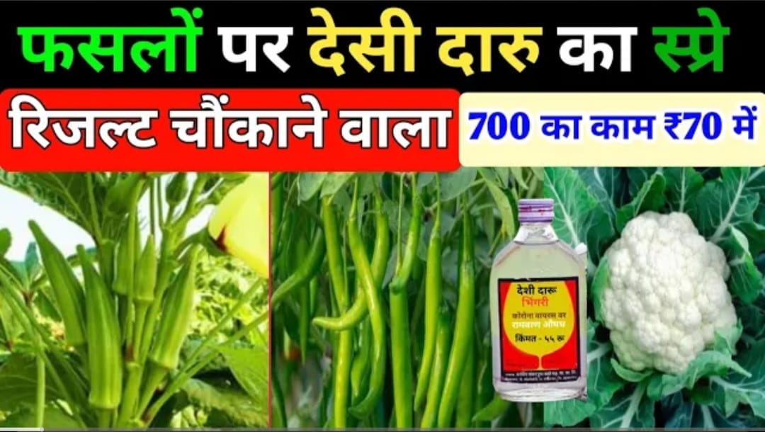 फसलों पर देसी