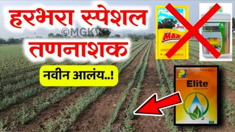 हरबरा नवीन तननाशक