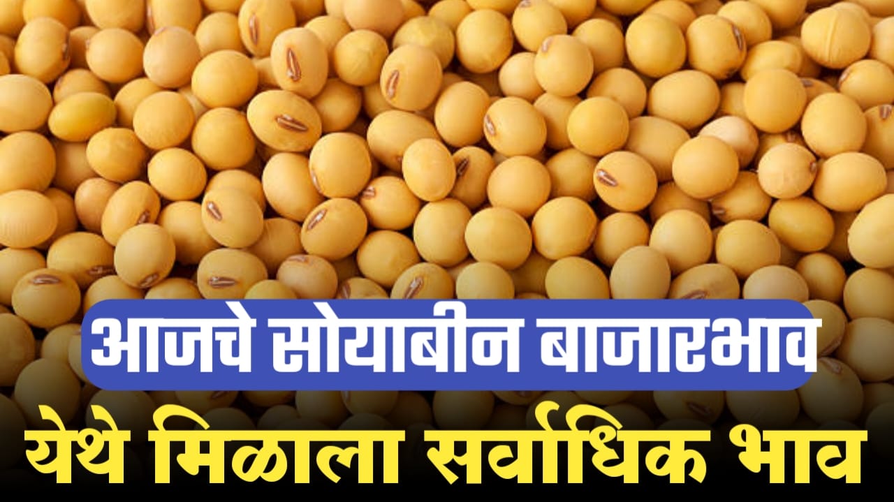आजचे सोयाबीन बाजार