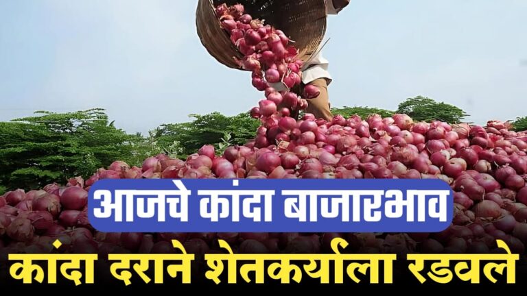 कांदा बाजारात घसरणीचे सत्र सुरूच: आवकेच्या दबावाने नाशिकमध्येही दर कोसळले, शेतकरी हवालदिल!